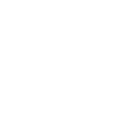 Ligue 1